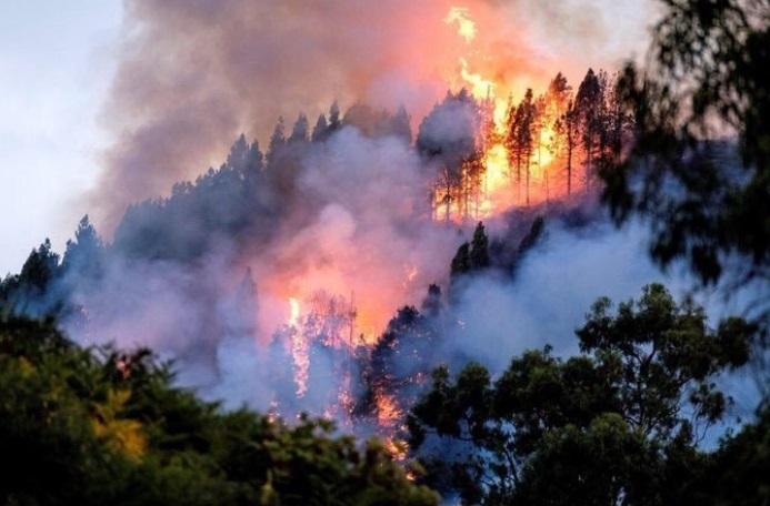 Para Gudynas, los incendios en la Amazonía son producto de la "bolsonarización" (Foto: periodista360.com)